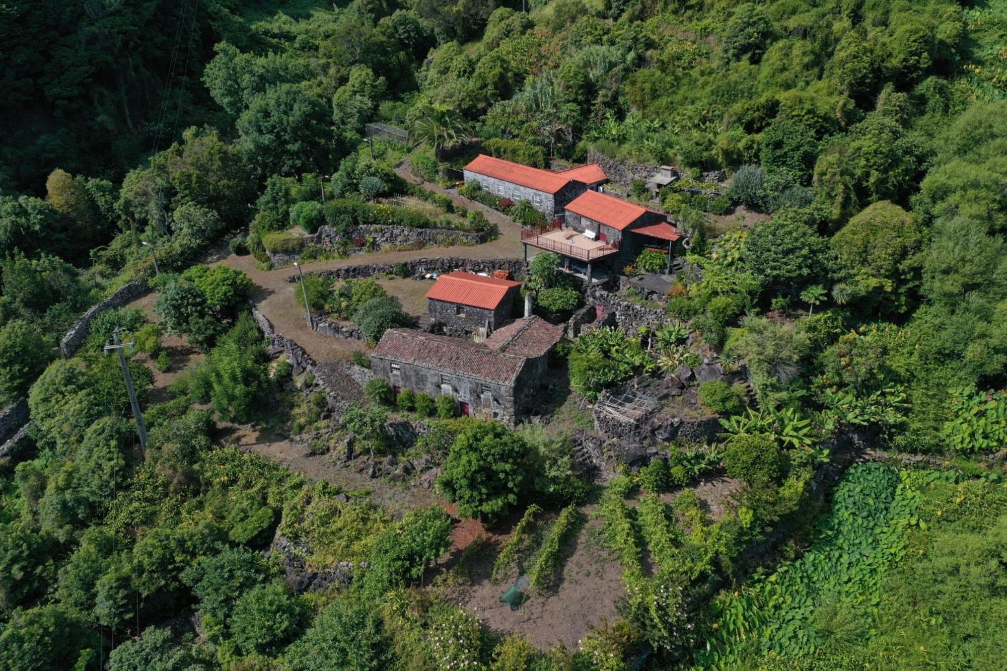Vistalinda Farmhouse Faja dos Vimes Dış mekan fotoğraf